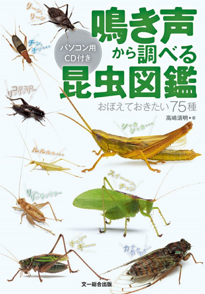 楽天ブックス: 鳴き声から調べる昆虫図鑑 - おぼえておきたい75種 パソコン用CD付き - 高嶋清明 - 9784829988121 : 本