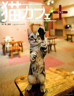 楽天ブックス 猫カフェ 猫たちと過ごすくつろぎカフェタイム 関由香 本