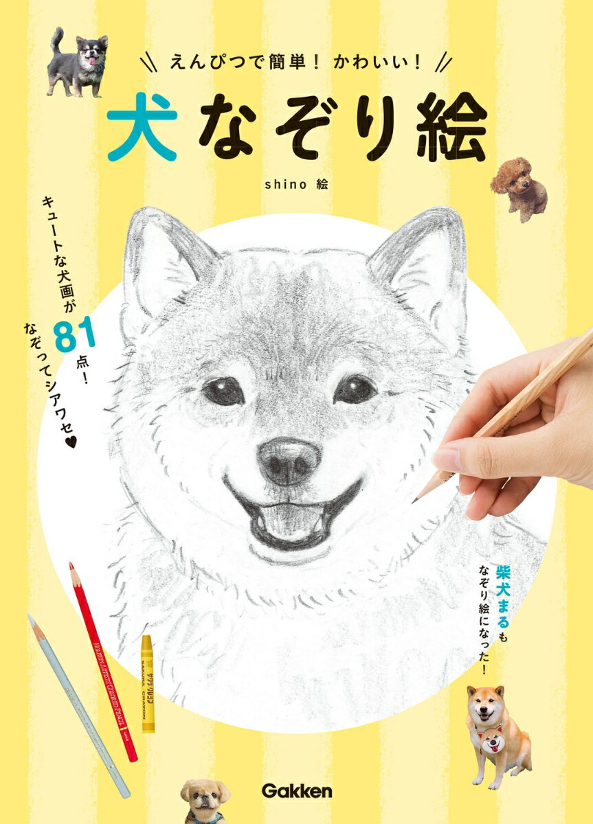 楽天ブックス えんぴつで簡単 かわいい 犬なぞり絵 Shino 本