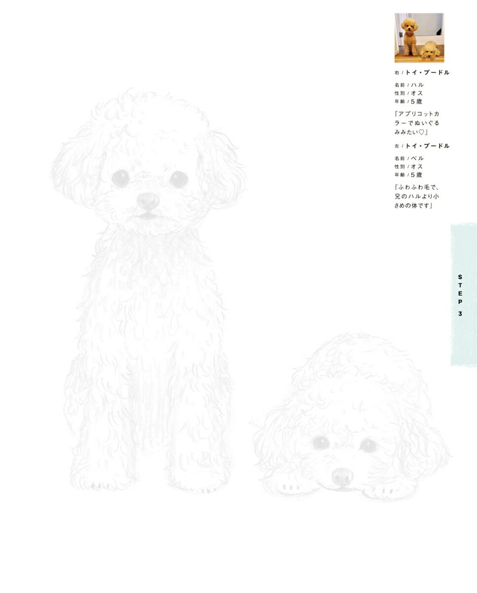 楽天ブックス えんぴつで簡単 かわいい 犬なぞり絵 Shino 本