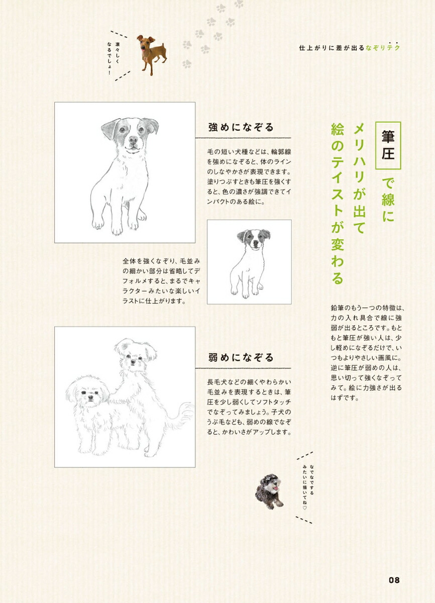 楽天ブックス えんぴつで簡単 かわいい 犬なぞり絵 Shino 本