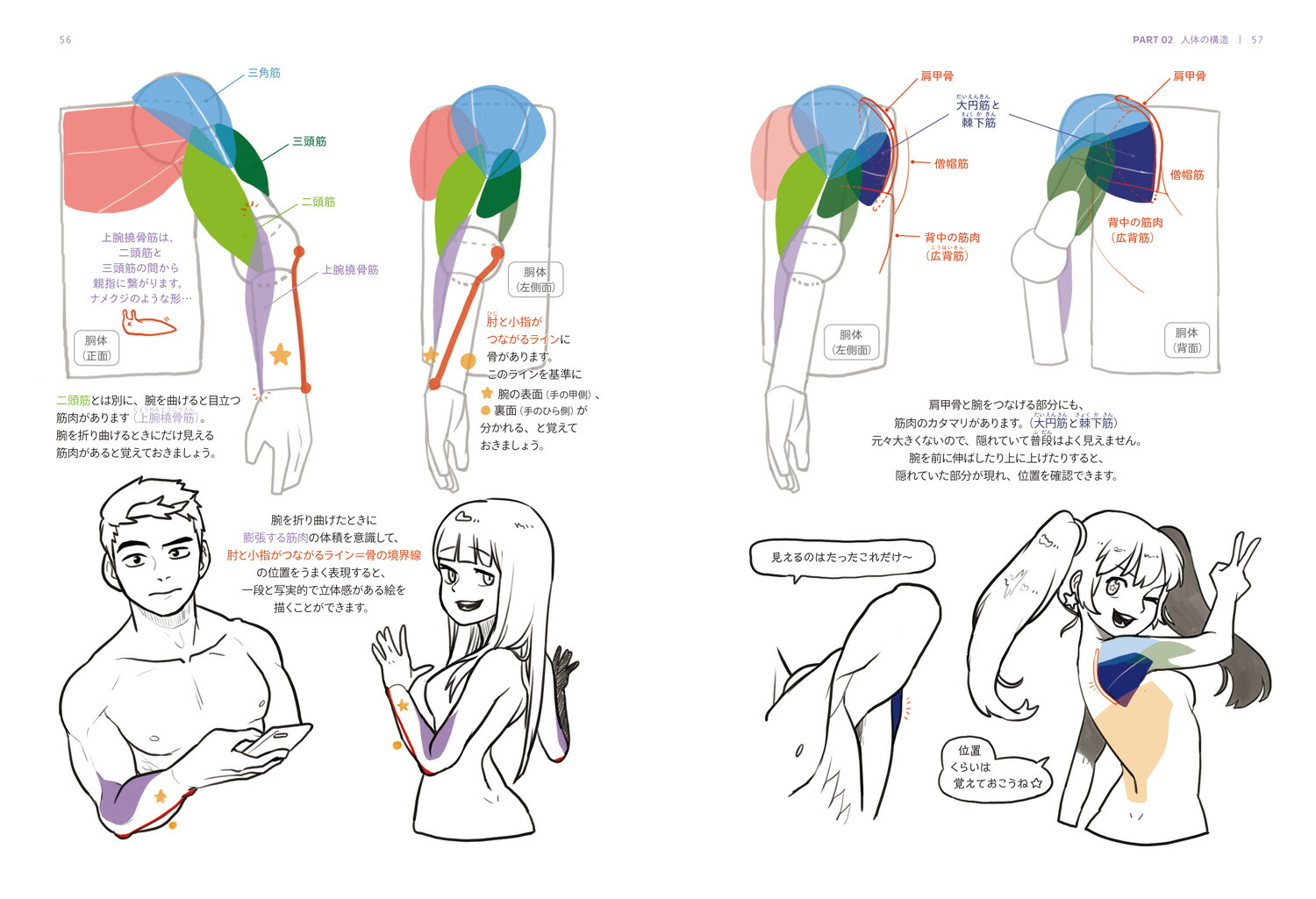 楽天ブックス お絵描きチュートリアル パーツがわかれば描ける キャラ作画の基本 パク リノ 9784837308133 本