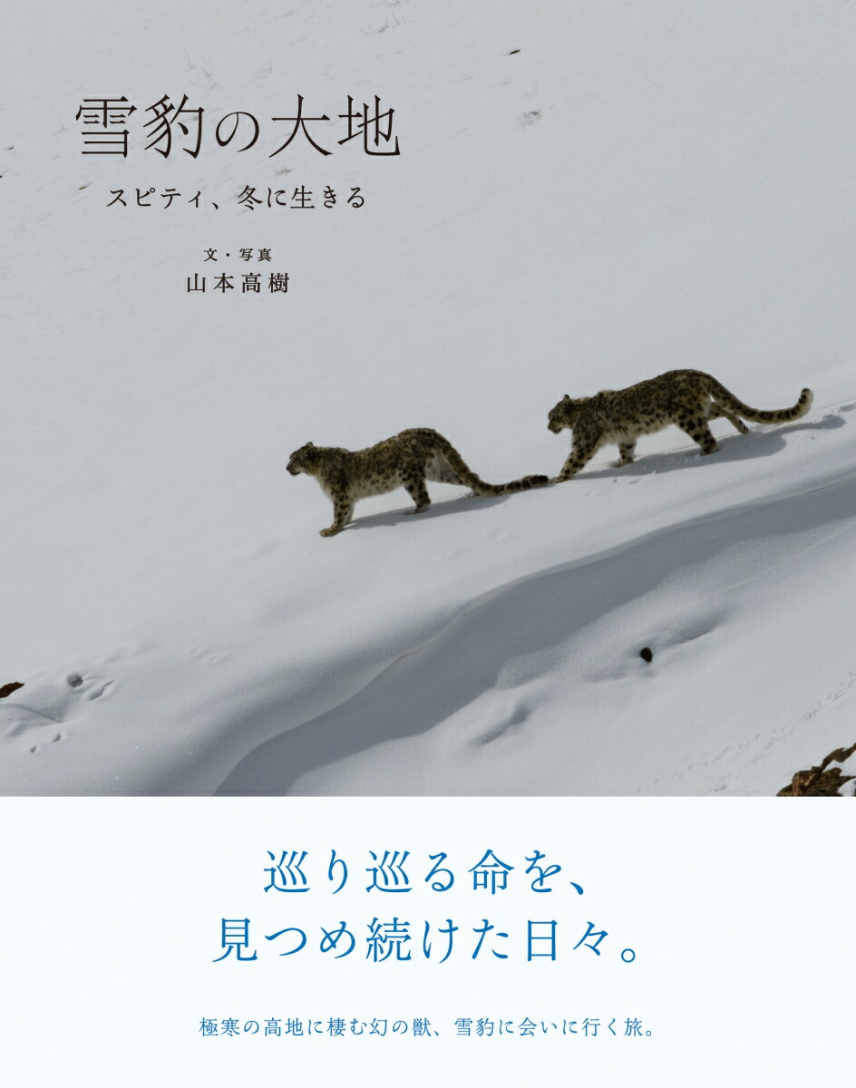 ��ɿ�����ϥ��ԥƥ����ߤ�������[���ܹ��]