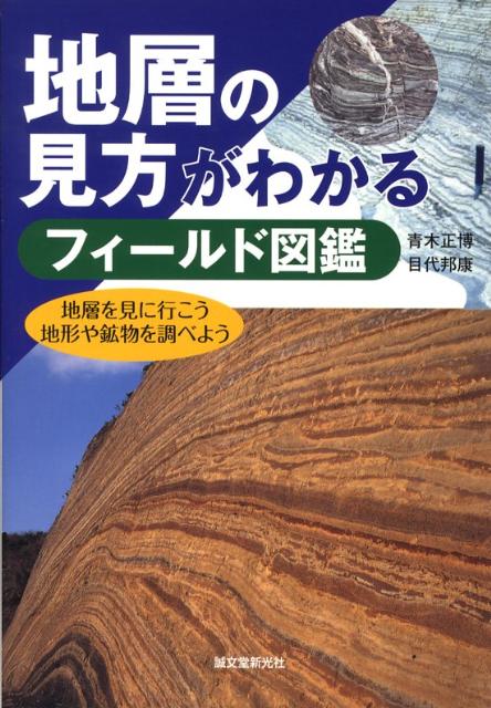 楽天ブックス: 地層の見方がわかるフィールド図鑑 - 地層を見に行こう