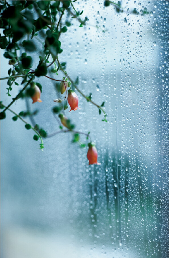 �錄���Υ�ꥤ��[����]