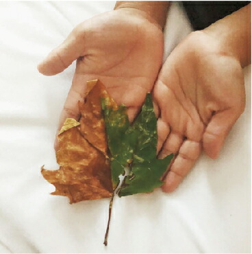 �錄���Υ�ꥤ��[����]