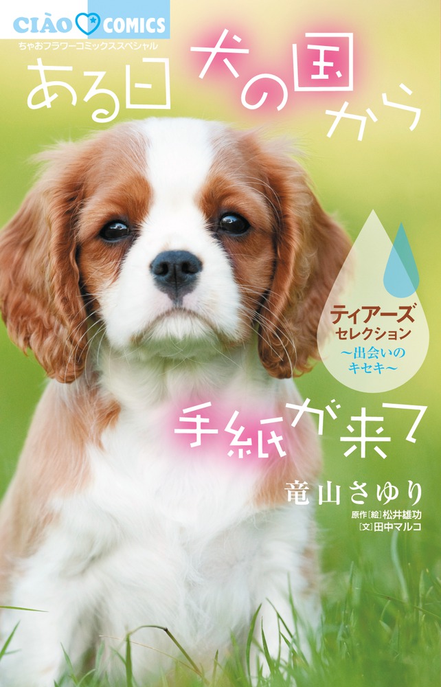 犬 の 本 安い 小説