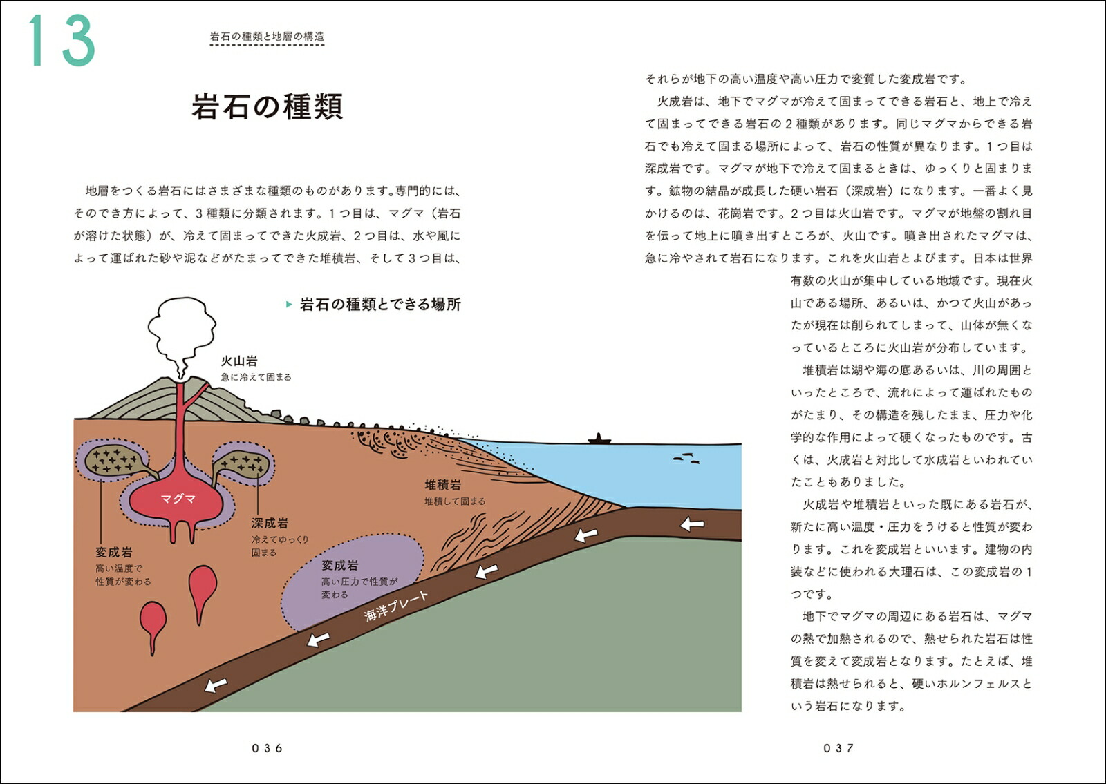 楽天ブックス 地層のきほん 縞模様はどうしてできる 岩石や化石から何がわかる 地球の活動を読み解く地層の話 目代 邦康 本