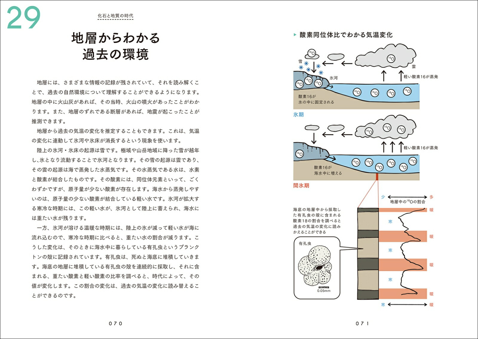 楽天ブックス 地層のきほん 縞模様はどうしてできる 岩石や化石から何がわかる 地球の活動を読み解く地層の話 目代 邦康 本