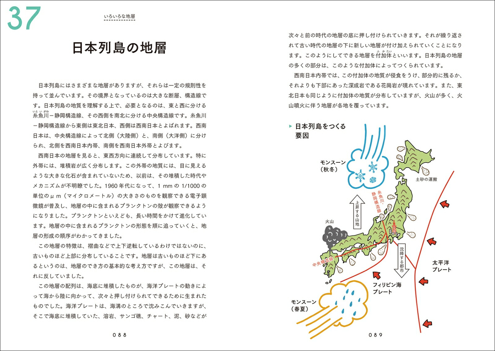 楽天ブックス 地層のきほん 縞模様はどうしてできる 岩石や化石から何がわかる 地球の活動を読み解く地層の話 目代 邦康 本