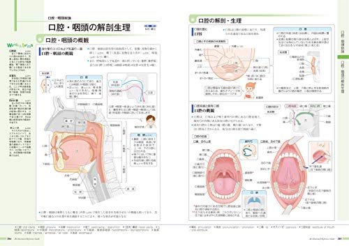 病気がみえる（vol.13）耳鼻咽喉科[医療情報科学研究所]