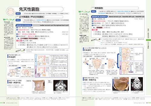 病気がみえる（vol.13）耳鼻咽喉科[医療情報科学研究所]