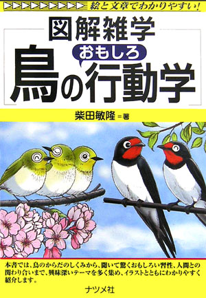 楽天ブックス 鳥のおもしろ行動学 図解雑学 絵と文章でわかりやすい 柴田敏隆 本