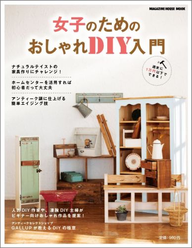 ҤΤΤDIYʥƥȤβȶ˥󥸡Magazinehousemook