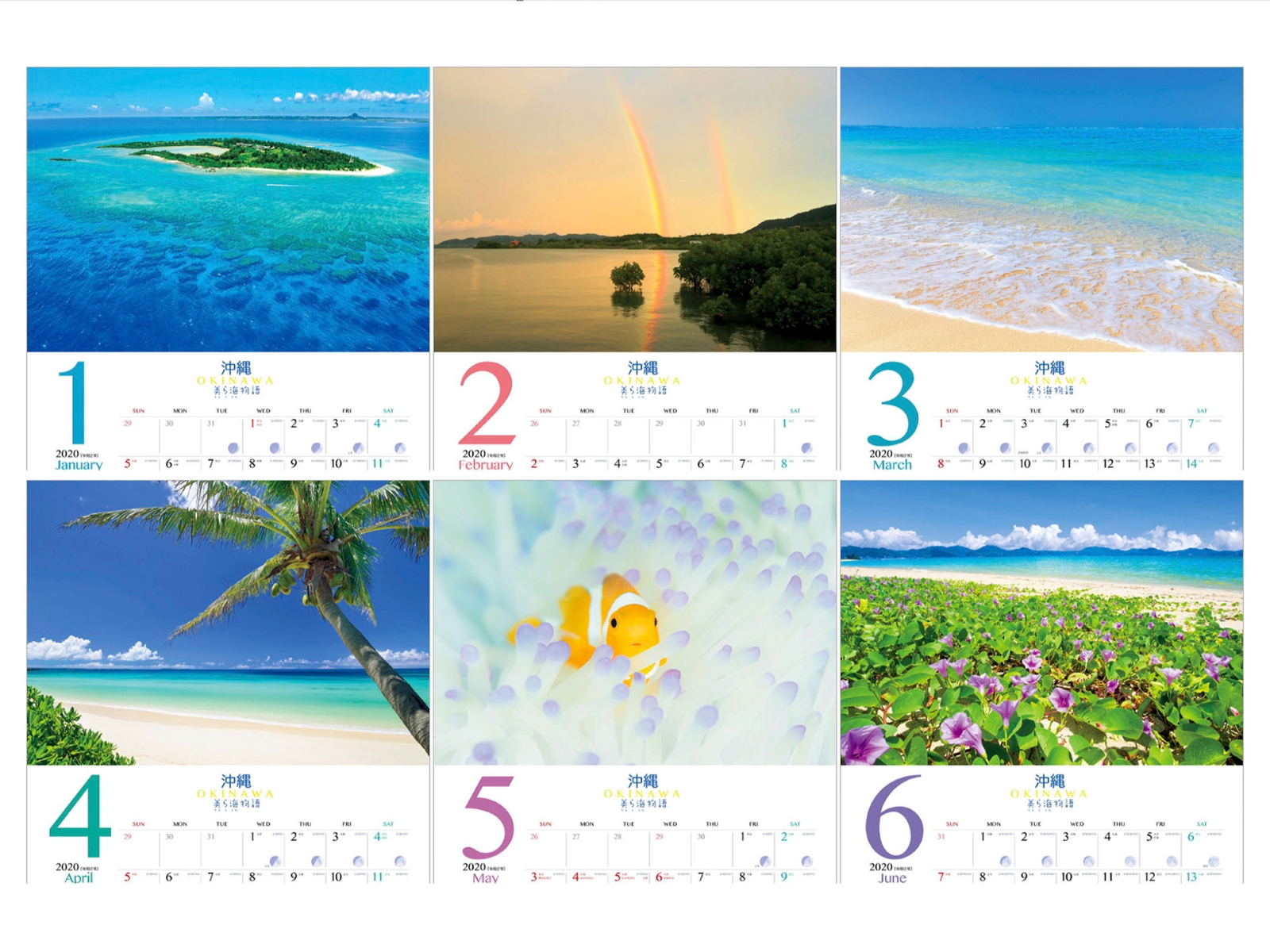 楽天ブックス 沖縄 美ら海物語 2020年 カレンダー 壁掛け 4562147488166 本