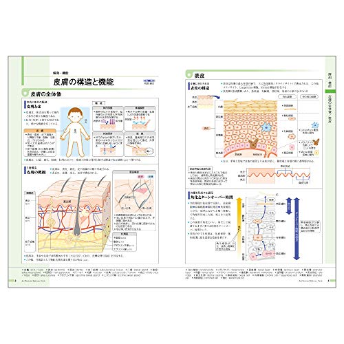 病気がみえる（vol.14）皮膚科[医療情報科学研究所]
