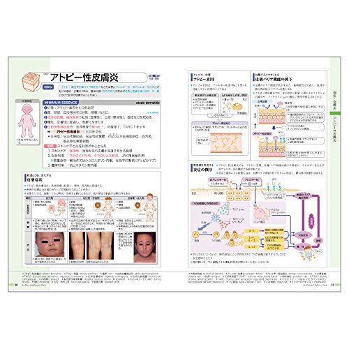 病気がみえる（vol.14）皮膚科[医療情報科学研究所]