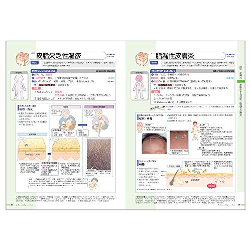 病気がみえる（vol.14）皮膚科[医療情報科学研究所]