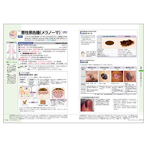 病気がみえる（vol.14）皮膚科[医療情報科学研究所]
