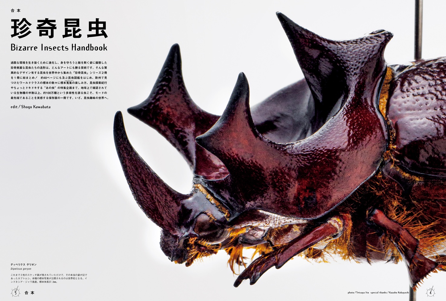 BRUTUS特別編集合本珍奇昆虫BizarreInsectsHandbook