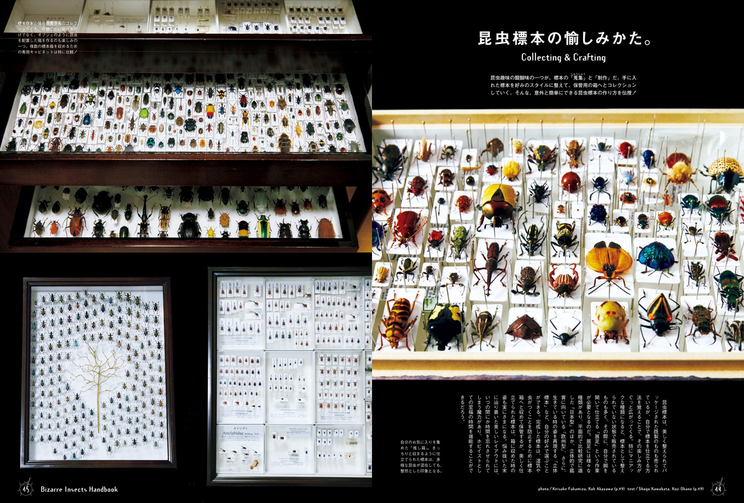 BRUTUS特別編集合本珍奇昆虫BizarreInsectsHandbook
