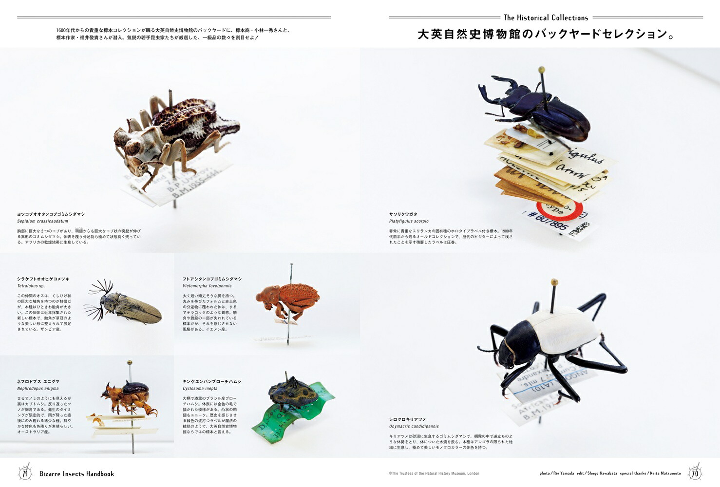 BRUTUS特別編集合本珍奇昆虫BizarreInsectsHandbook