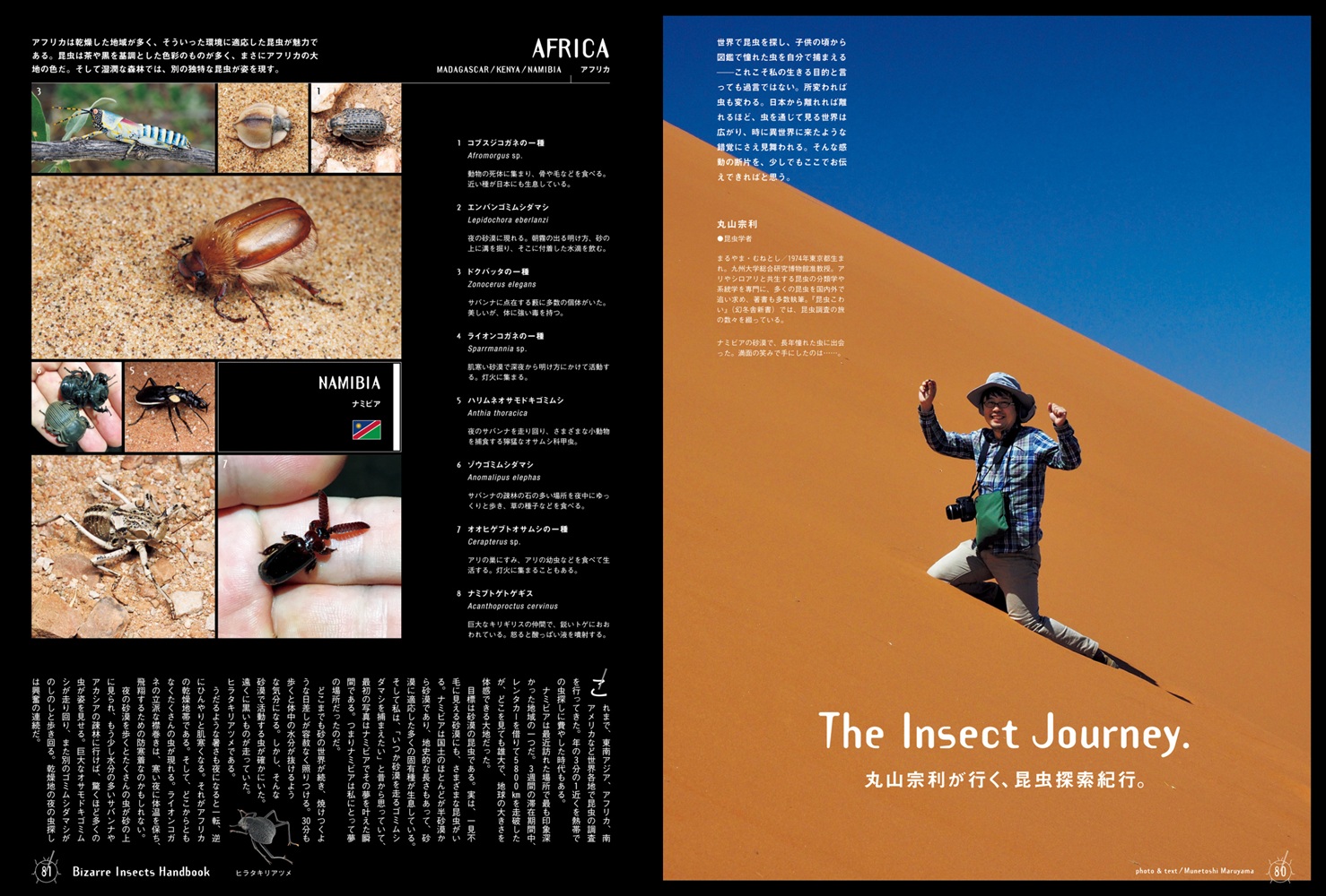 BRUTUS特別編集合本珍奇昆虫BizarreInsectsHandbook