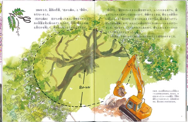 おおふじひっこし大作戦（たくさんのふしぎ傑作集）[塚本こなみ]