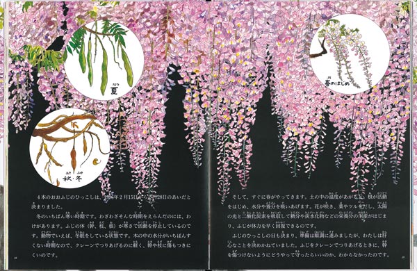 おおふじひっこし大作戦（たくさんのふしぎ傑作集）[塚本こなみ]