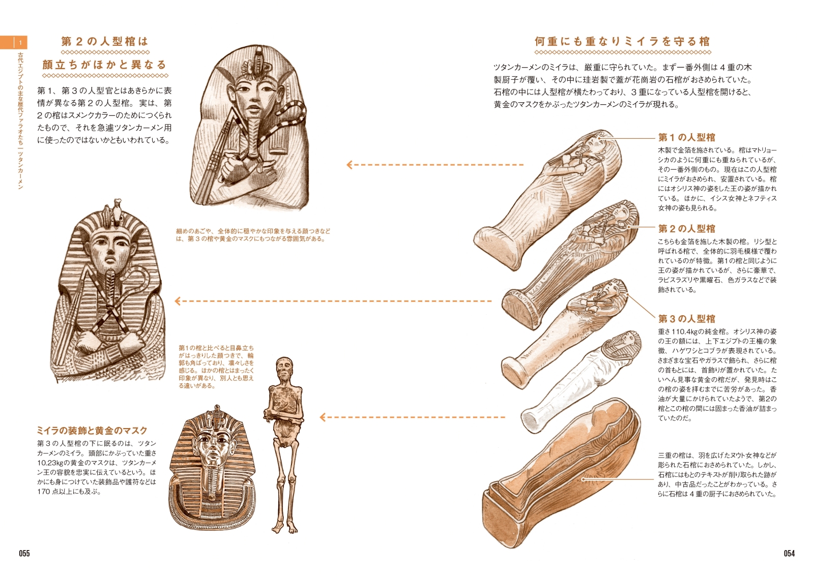 楽天ブックス 古代エジプト解剖図鑑 本