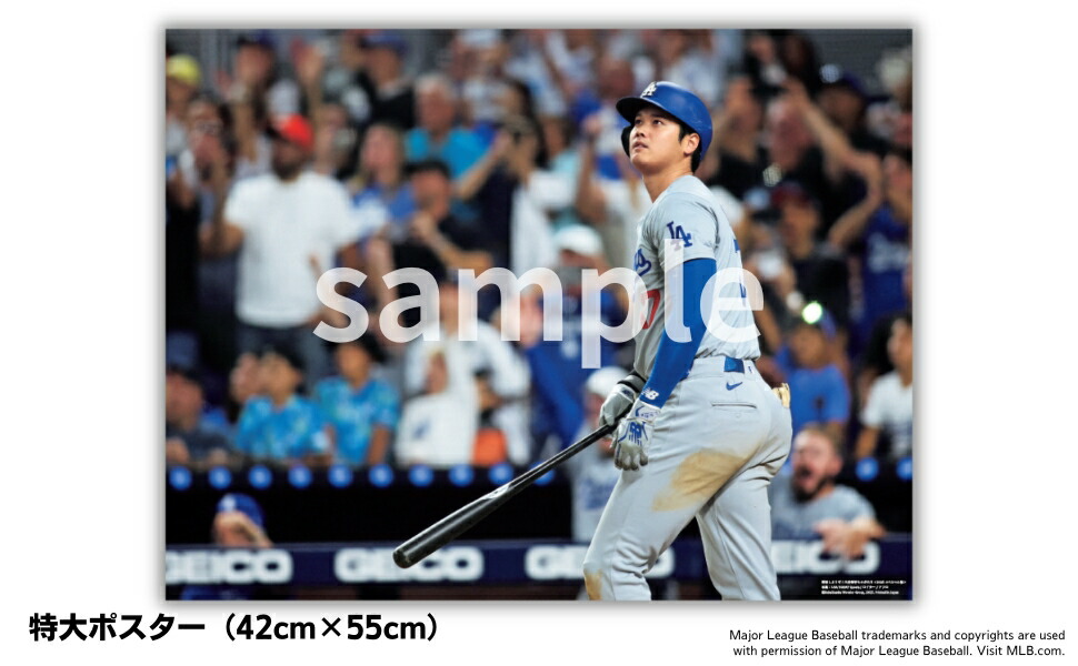 ��夷�褦������ë��ʿ��Τ�����2025���ڥ������[�Ȥꤴ��������]