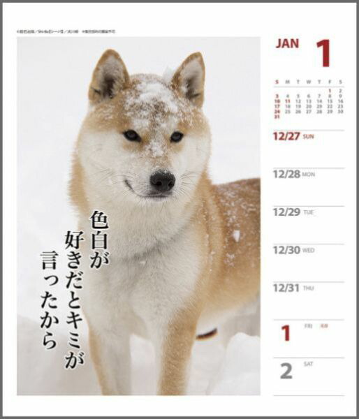 楽天ブックス 犬川柳 週めくり 16年 カレンダー 本