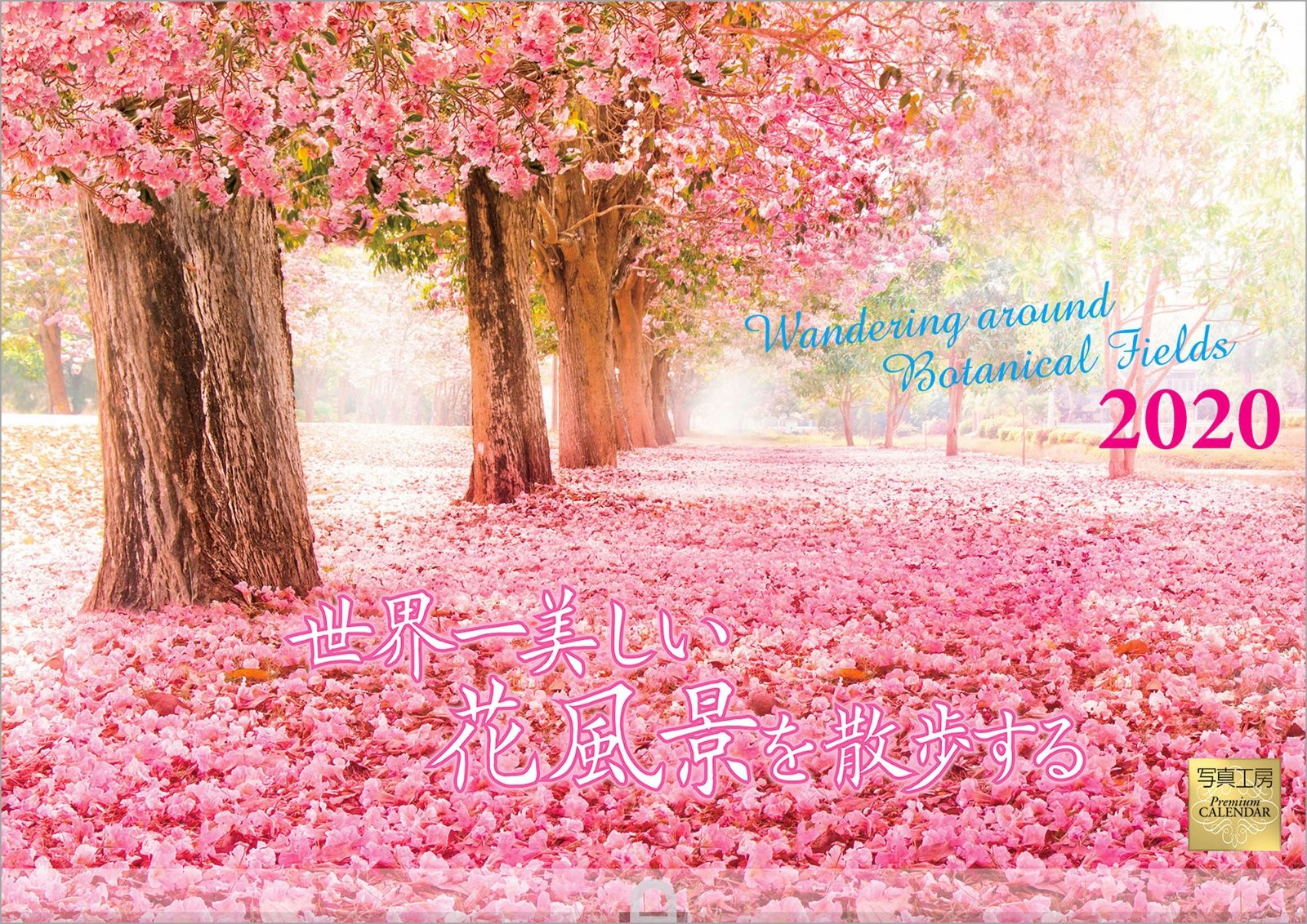 楽天ブックス 世界一美しい花風景を散歩する 年 カレンダー 壁掛け 本
