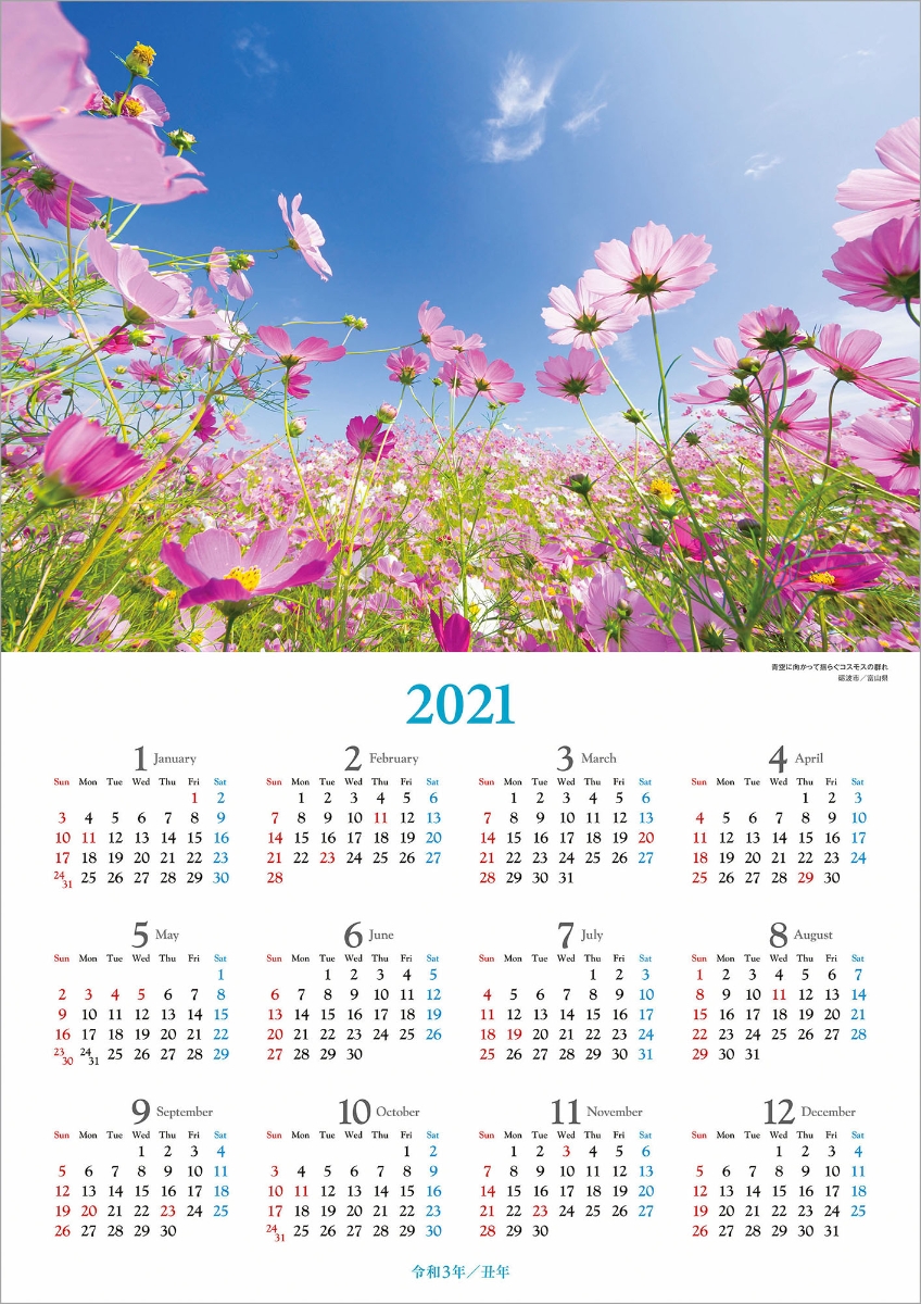 楽天ブックス 世界一美しい花風景を散歩する 年 カレンダー 壁掛け 本