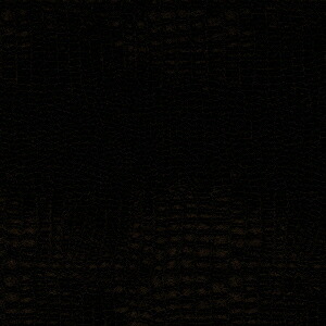 楽天ブックス Blankey Jet City 1997 00 初回生産限定 Blankey Jet City Cd