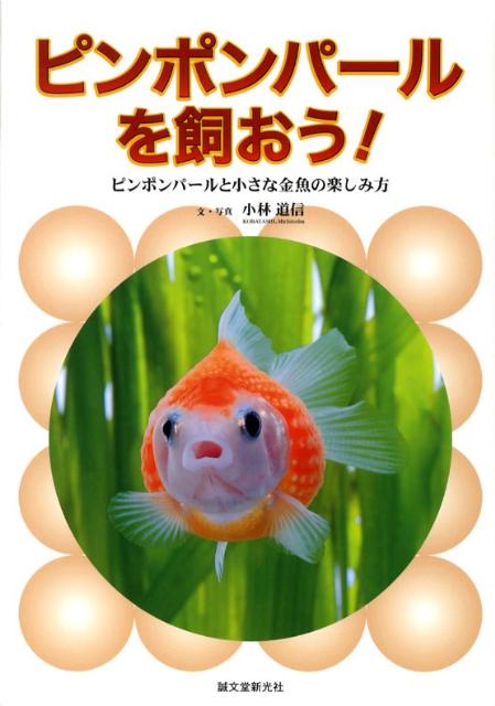 楽天ブックス ピンポンパールを飼おう ピンポンパールと小さな金魚の楽しみ方 小林道信 本