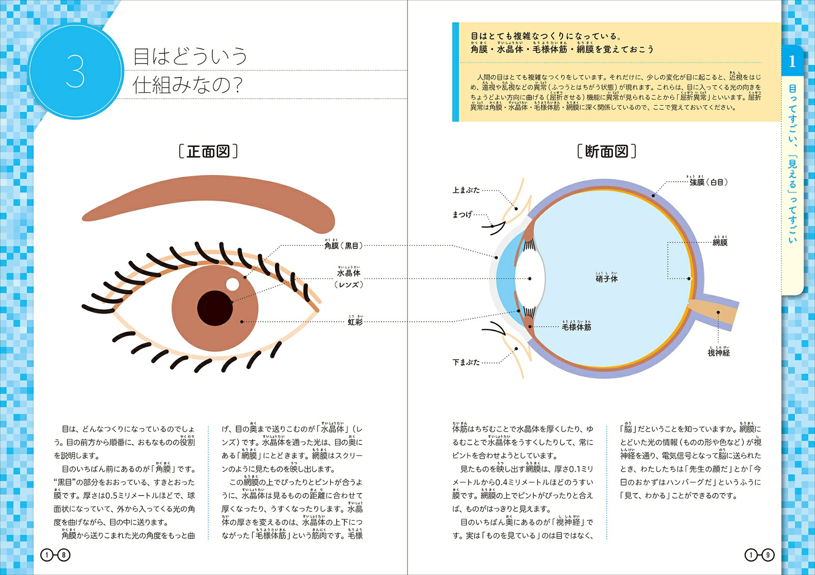 楽天ブックス: ふせごう! デジタル近視 - 目のことを知る・目の健康を守る - 北明大洲 - 9784845118274 : 本