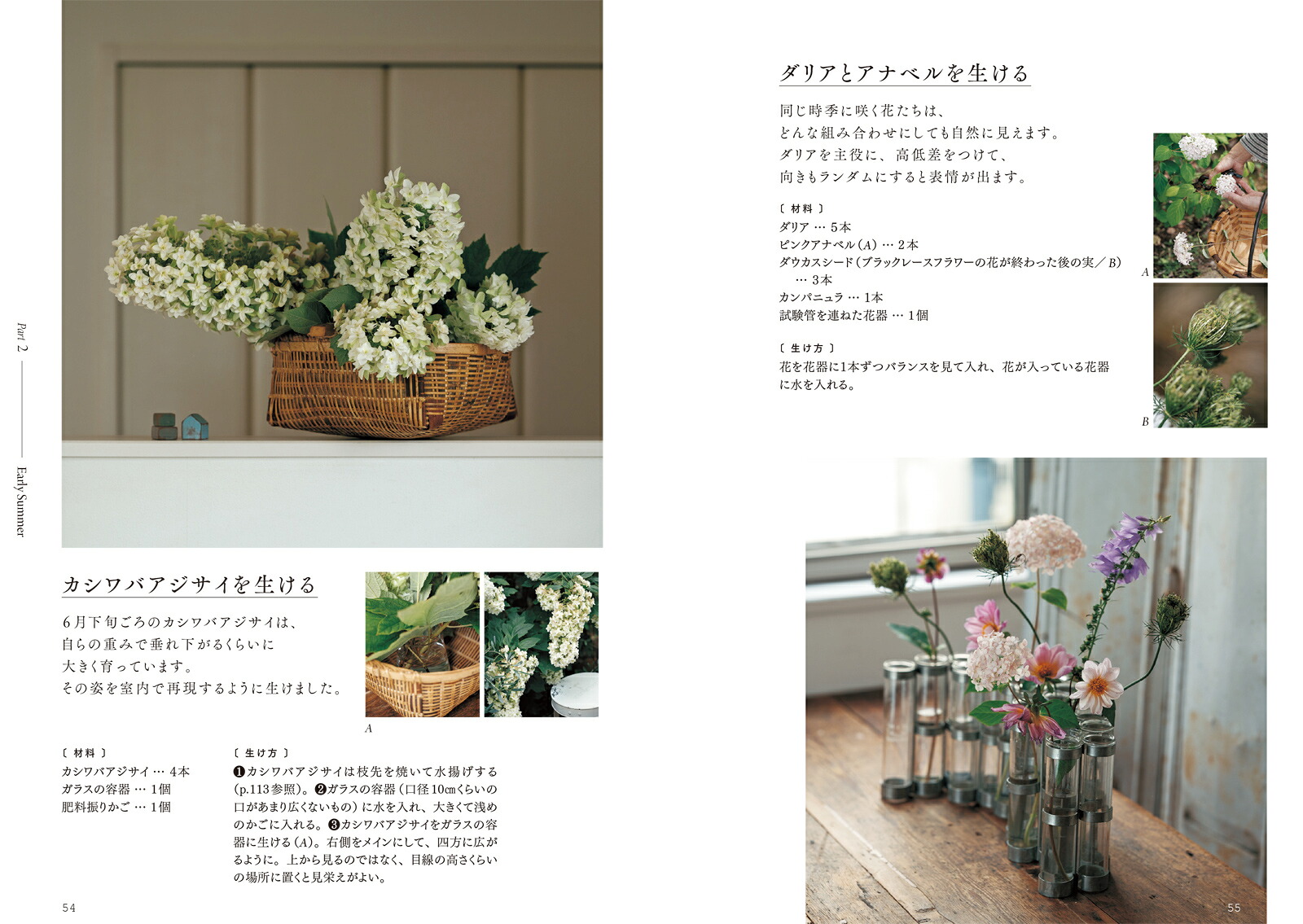 半日陰を生かした美しい庭づくり飾って、食べて、暮らしを楽しむ[増田由希子]