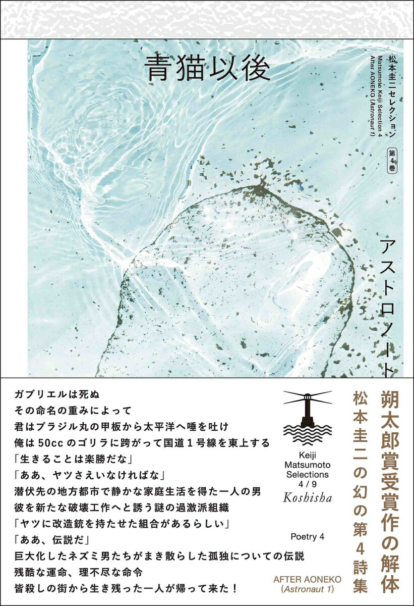 青猫以後（アストロノート 1）画像