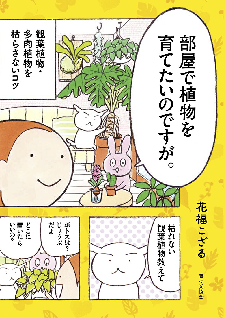 部屋で植物を育てたいのですが。観葉植物・多肉植物を枯らさないコツ[花福こざる]