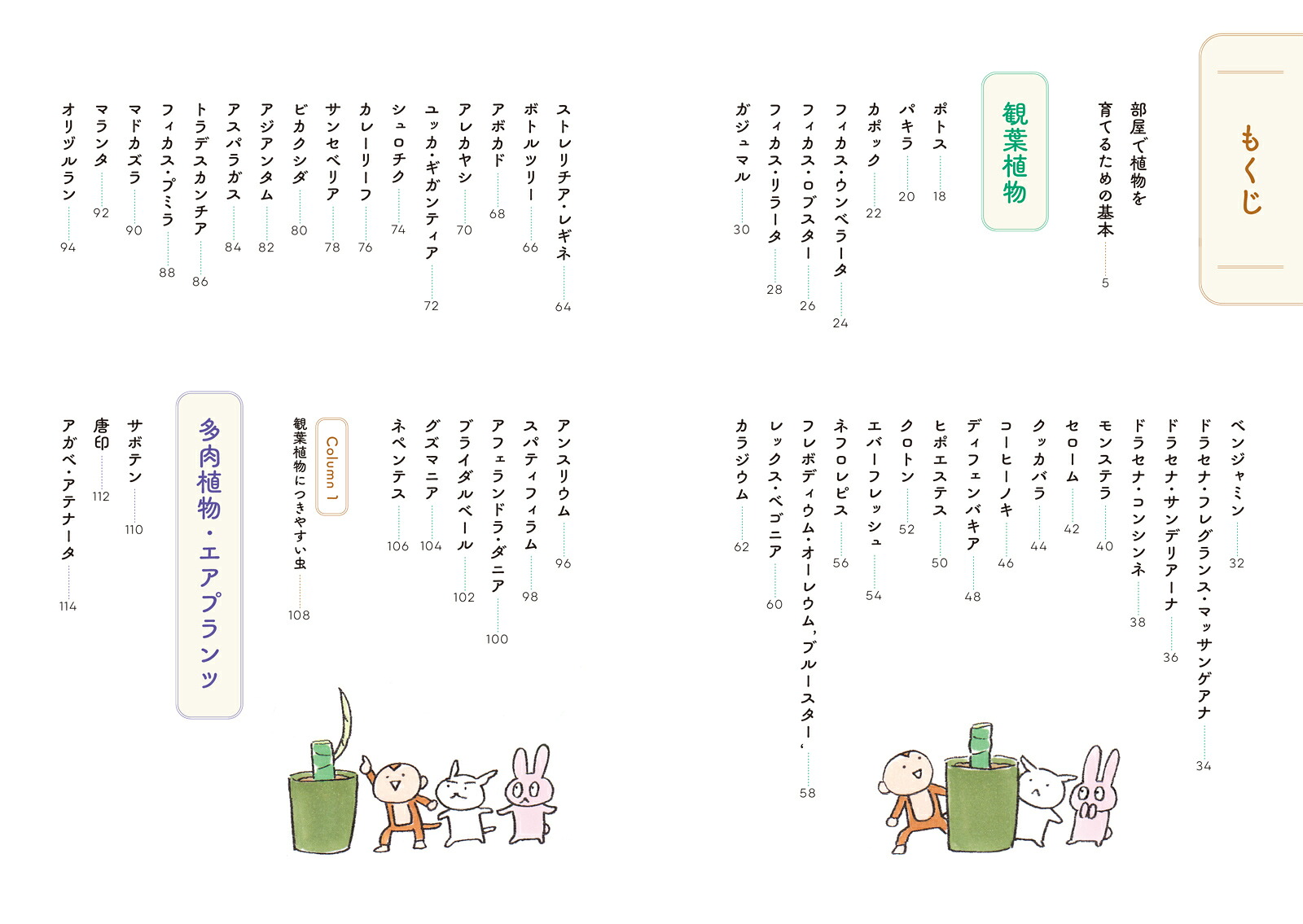 部屋で植物を育てたいのですが。観葉植物・多肉植物を枯らさないコツ[花福こざる]
