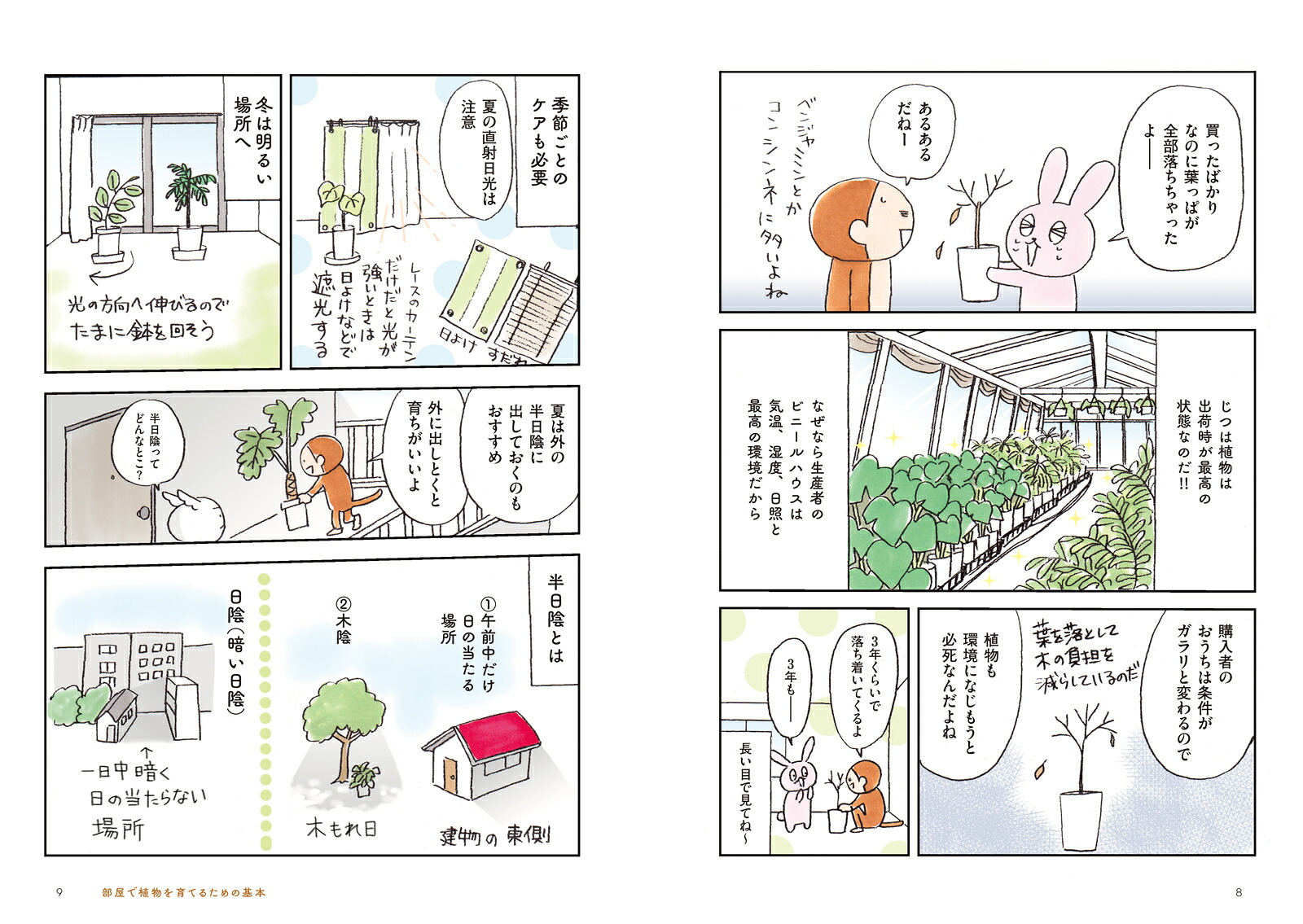 部屋で植物を育てたいのですが。観葉植物・多肉植物を枯らさないコツ[花福こざる]