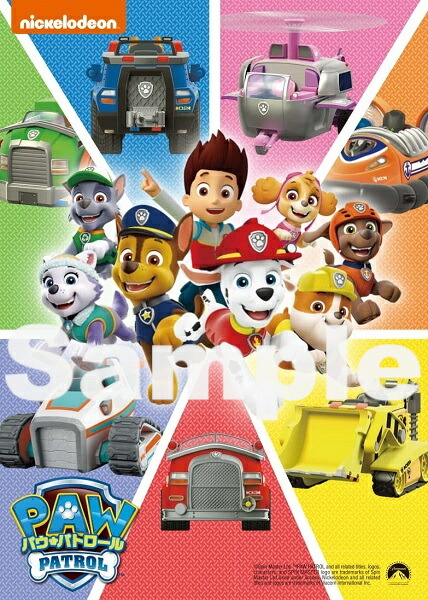 �ѥ����ѥȥ����륷������2�ѥ����Х�ɤ��ä���![(���˥᡼�����)]