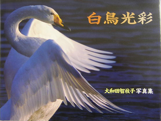 白鳥光彩 数量限定 大和田智枝子写真集大和田智枝子 海外並行輸入正規品