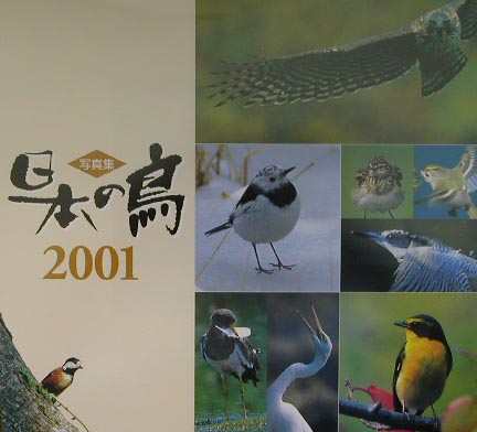 楽天ブックス: 日本の鳥（2001） - 写真集 - Birder編集部