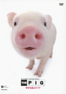 楽天ブックス Artist Colletion The Pig 幸せを運ぶ子ブタ 趣味 教養 Dvd