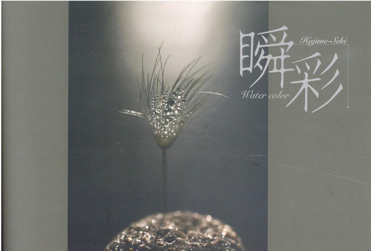 瞬彩　Ｗａｔｅｒ　ｃｏｌｏｒ/信濃毎日新聞社/関始（大型本） 楽天ブックス: 瞬彩 Water color - 関始 - 9784784088317 : 本