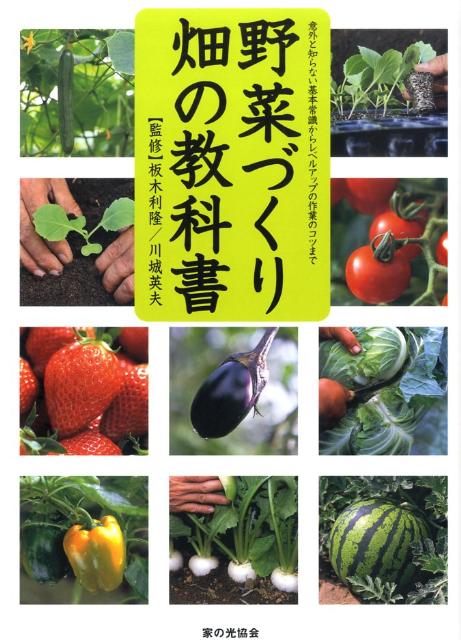 野菜づくり畑の教科書意外と知らない基本常識からレベルアップの作業のコツ[板木利隆]