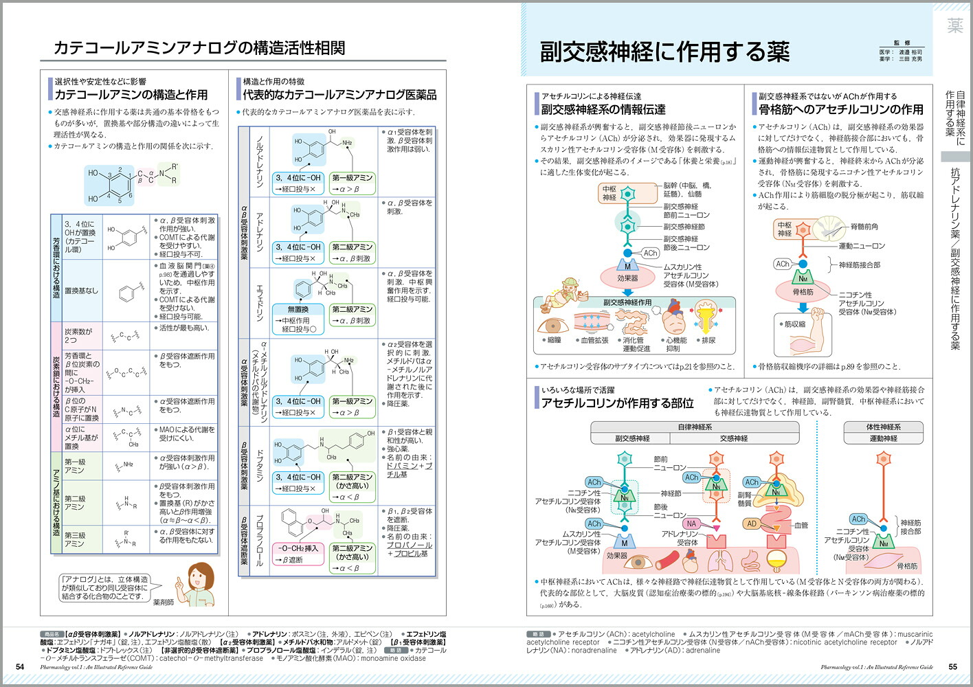 薬がみえる（vol.1）[医療情報科学研究所]