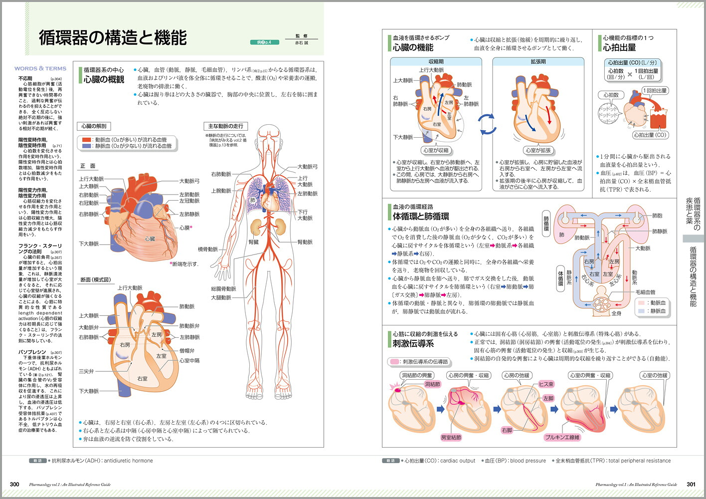 薬がみえる（vol.1）[医療情報科学研究所]
